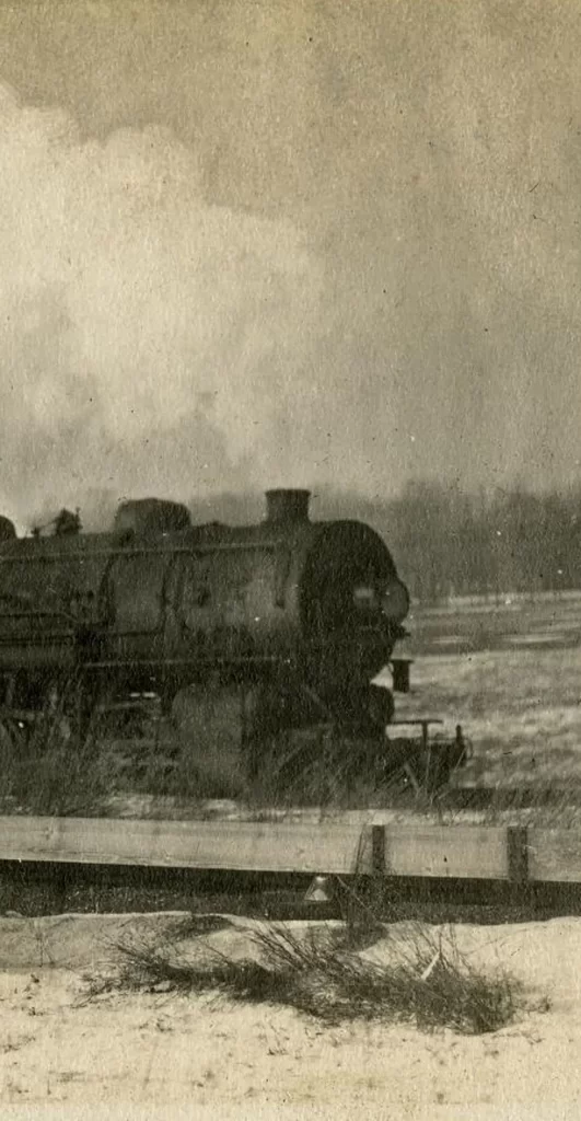 bhl-polar-bear-train-photo