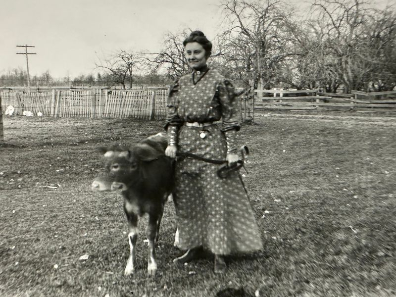 Ella Fuller standing with a cow in a field, with trees in the background.