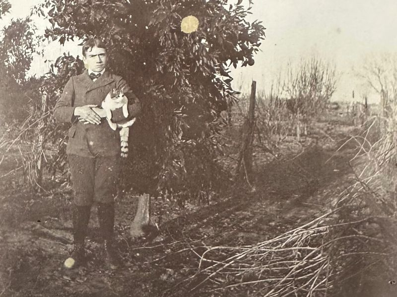 A boy holding a cat in a field, standing in front of a tree.