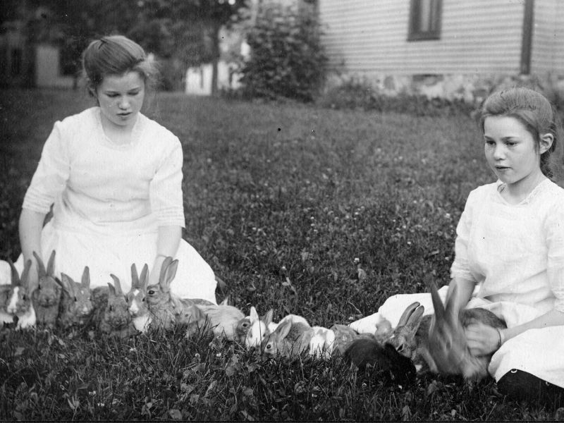 Two girls sitting in a grassy field with a large number of rabbits, in front of a house.